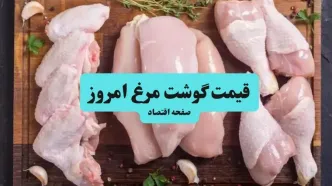 قیمت مرغ امروز ۲۶ شهریور اعلام شد + جدول کامل قیمت‌ها