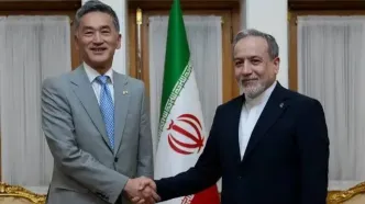 دیدار خداحافظی سفیر ژاپن در ایران با عراقچی
