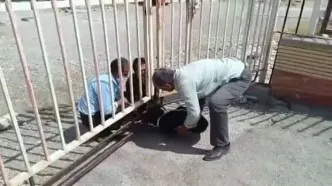 نحوه تحویل پیکر یک کودک در بیمارستان دولتی خبرساز شد