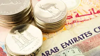 قیمت درهم امروز سه‌شنبه ۲۴ شهریور ۱۴۰۵/ افزایش قیمت درهم