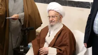 مکارم شیرازی: دولت به فکر گرانی ها باشد