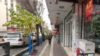 زورو در خیابان‌ ایرانشهر تهران رویت شد!