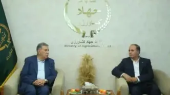 اقتصاد کشور با حضور بخش خصوصی بهره‌ورتر و نوآورتر خواهد بود