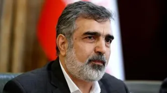 کمالوندی: ممانعت آمریکا از حضور ایران در نشست آژانس، مخرب و کودکانه است