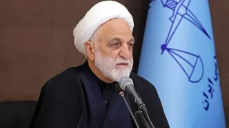 محسنی اژه‌ ای عازم هند شد/ موضوع اصلی اجلاس بریکس مسائل مرتبط با تجارت جهانی است