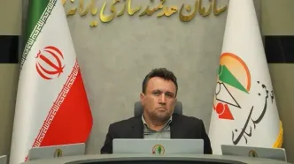 آغاز واریز ۵۵ همت دیگر به حساب گندم‌کاران کشور