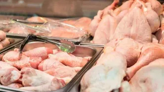 زیان ۹۰هزار تومانی مرغداران برای فروش هرکیلو مرغ