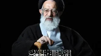 پیام تسلیت عراقچی در پی ارتحال آیت‌الله شبیری زنجانی