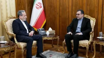بررسی آخرین تحولات جهان اسلام در دیدار نماینده ایران در سازمان همکاری اسلامی با عراقچی