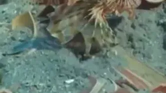 کشف ظروف فاخر ۲۱۰۰ ساله در کشتی غرق شده روم باستان