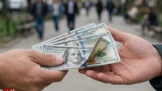 قیمت دلار امروز پنجشنبه ۲۶ شهریور ۱۴۰۵/ نزول قیمت دلار