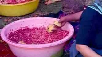 هورامان در فصل انار