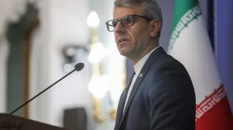 بقائی: سفر رئیس‌جمهور به هند برای شرکت در اجلاس بریکس بسیار مهم است
