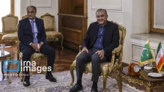 سفر وزیر کشور پاکستان به تهران برای تقویت روابط دوجانبه