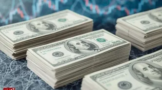قیمت دلار امروز پنجشنبه ۲ مهر ۱۴۰۵/ افزایش قیمت دلار