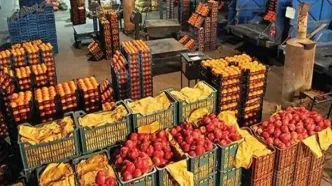 حجره‌داران میوه و تره‌بار به فعالیت اصلی خود بازگردند