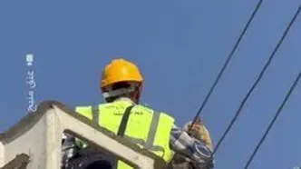 گربه سرسخت کمک امدادگران را رد کرد