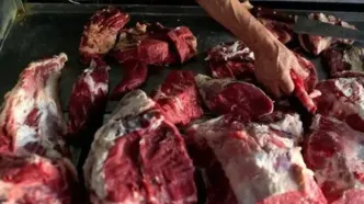 کشف ۲۵۴ کیلو گوشت الاغ و قاطر در تهران