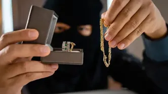 سرقت از خانه آزاده نوری، بلاگر ایرانی؛ دزدان همه چیز را بردند  + فیلم