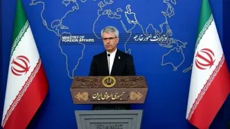 توضیحات بقائی در مورد سفر وزیر کشور پاکستان به ایران