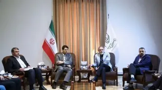بررسی راهکارهای همکاری سازمان سینمایی و سازمان امور مالیاتی با محور حمایت از سینمای ایران