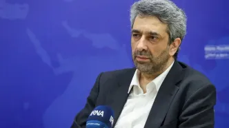 طباطبایی: در هیچ جای تفاهم‌ نامه با آمریکا منافع و مصالح کشور نقض نشده است / به تفاهم‌ نامه پایبندیم اما به اقتضای شرایط عمل می‌ کنیم