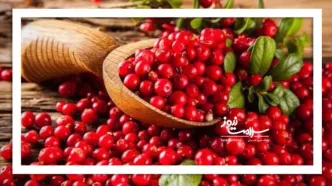 مقایسه ویتامین C کرنبری و انار: کدام‌یک بهتر است؟