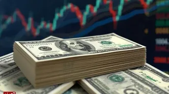 قیمت دلار امروز سه‌شنبه ۲۴ شهریور ۱۴۰۵/ افزایش قیمت دلار
