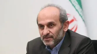 جبلی: صحبت‌هایم در واکنش به حرف رئیس جمهور نبود