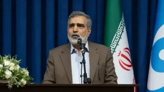 کمالوندی: ایران گزینه های متعددی برای دفاع از خود در اختیار دارد