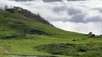 فیلم از گیلان زیبا