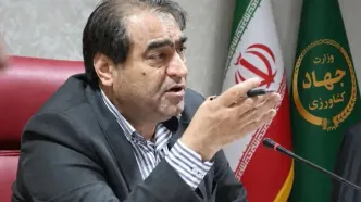 آغاز خرید حمایتی مرغ از ۲۳ شهریورماه