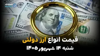 اینفوگرافی | قیمت ارز دولتی امروز شنبه ۱۴ شهریور ۱۴۰۵ | نرخ دلار و یورو دولتی + جدول