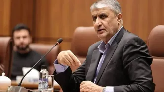 فشار آمریکا مانع حضور رئیس سازمان انرژی اتمی ایران در کنفرانس آژانس شد/ محمد اسلامی و هیات همراه وی به کشور بازگشتند