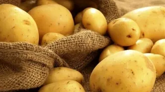 قیمت سیب زمینی تنظیم بازاری اعلام شد/ گران‌تر نخرید