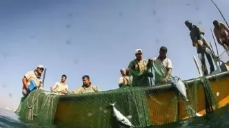 بازگشت ۱۰ صیاد مفقودشده اهل بندرلنگه‌