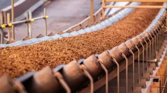 بررسی خرید سهام معدن BHP توسط گروه بائو استیل چین