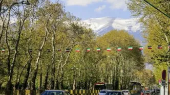 درختان تنومند خیابان ولیعصر یکی یکی کم می‌شوند!