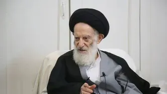 حوزه علمیه قم: آیت‌الله شبیری زنجانی به دلیل مشکلات داخلی و خونریزی معده، بستری شدند/ حال عمومی ایشان مساعد است