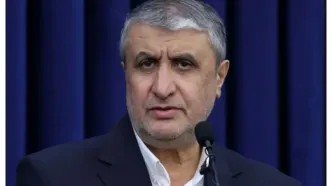نماینده ایران در وین: عدم صدور روادید توسط اتریش برای محمد اسلامی نقض جدی حقوق کشورمان است/ روسیه: اتریش با لغو روادید رئیس سازمان انرژی اتمی ایران، موافقت‌نامه مقر آژانس را نقض کرد