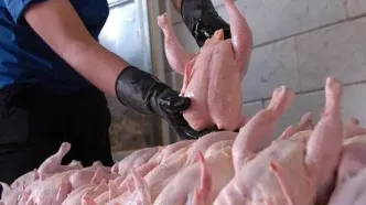قیمت جدید مرغ اعلام شد