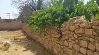 ثبت‌نام زمین رایگان روستایی ۱۴۰۵ از امروز آغاز شد + شرایط و نحوه دریافت