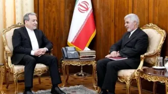 دیدار سرکنسول جدید ایران در کربلا با عراقچی