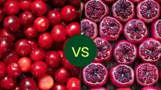 کرنبری یا انار؛ کدام‌یک ویتامین C و فیبر بیشتری دارد؟