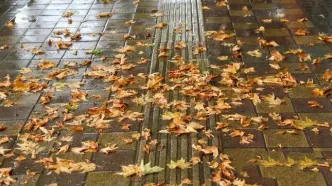 بارش‌های پاییزی از هفته سوم مهر آغاز می‌شود