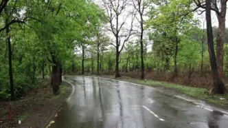 شمال کشور بارانی می شود/ کاهش نسبی دما