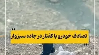تصادف دلخراش خودرو با یک کفتار