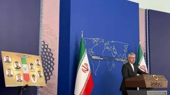 توضیحات بقائی درباره عدم دیدار روسای جمهور ایران و چین