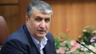 اسلامی: ممانعت از حضور من در نشست آژانس نتیجه شگفت‌آوری داشت