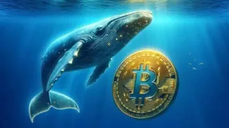 آغاز موج صعودی جدید در بازار رمزارزها؟/ بیت‌کوین چقدر تغییر کرد؟